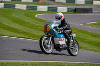 Vintage-motorcycle-club;eventdigitalimages;mallory-park;mallory-park-trackday-photographs;no-limits-trackdays;peter-wileman-photography;trackday-digital-images;trackday-photos;vmcc-festival-1000-bikes-photographs